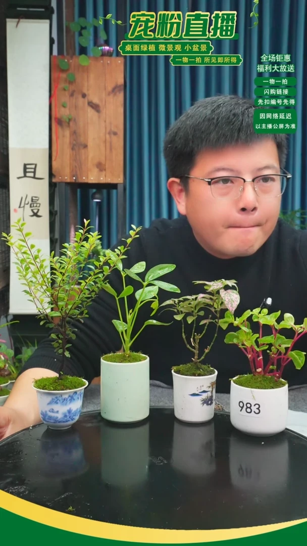 无花朵蜜***?苔藓微景观983号