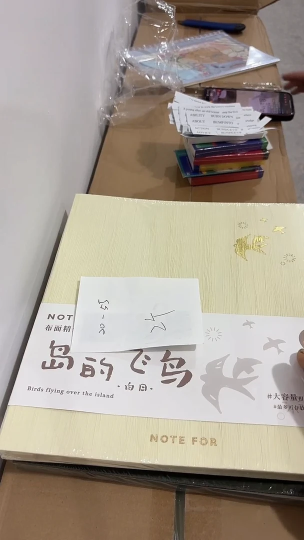 20-55 相册大号 2本