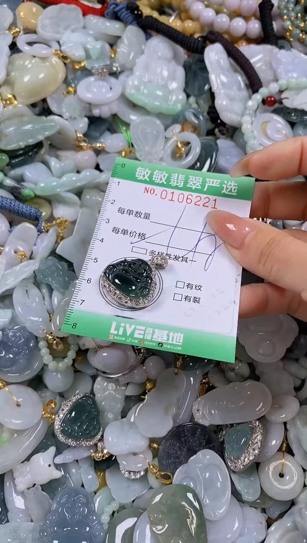【闪购商品】翡翠颈饰未镶嵌闪购0106221多样性发其一