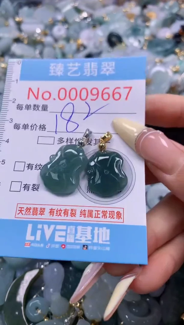 翡翠未镶嵌颈饰含绳0009667