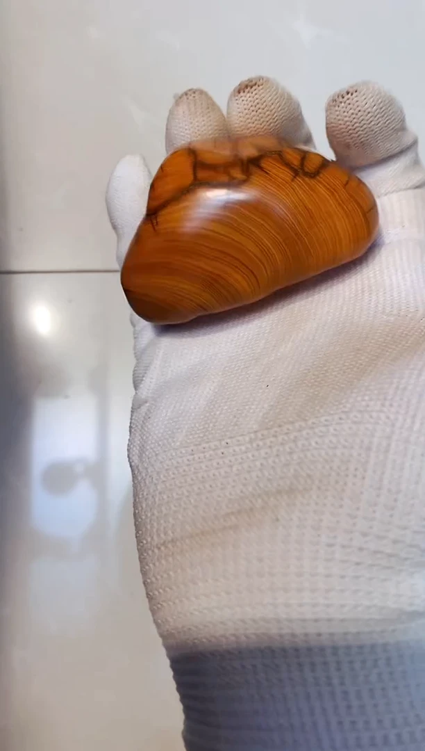柏木15崖柏崖柏崖柏