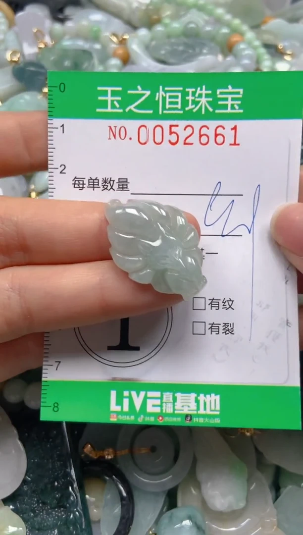 【闪购商品】翡翠颈饰未镶嵌闪购0052661