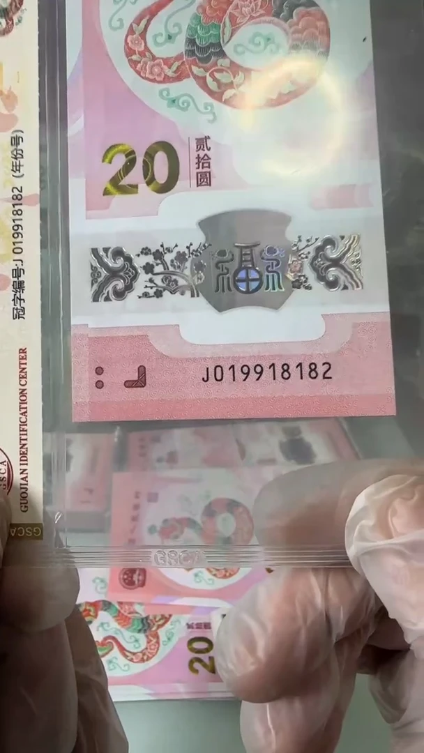 【闪购商品】塑料019918182-蛇钞单张！