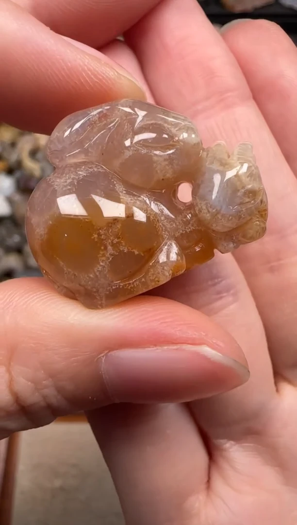 硅化珊瑚（珊瑚玉）未镶嵌颈饰233