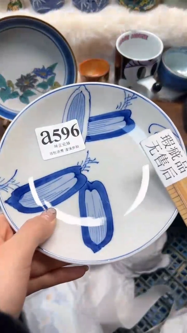 【闪购商品】瓷片          a596