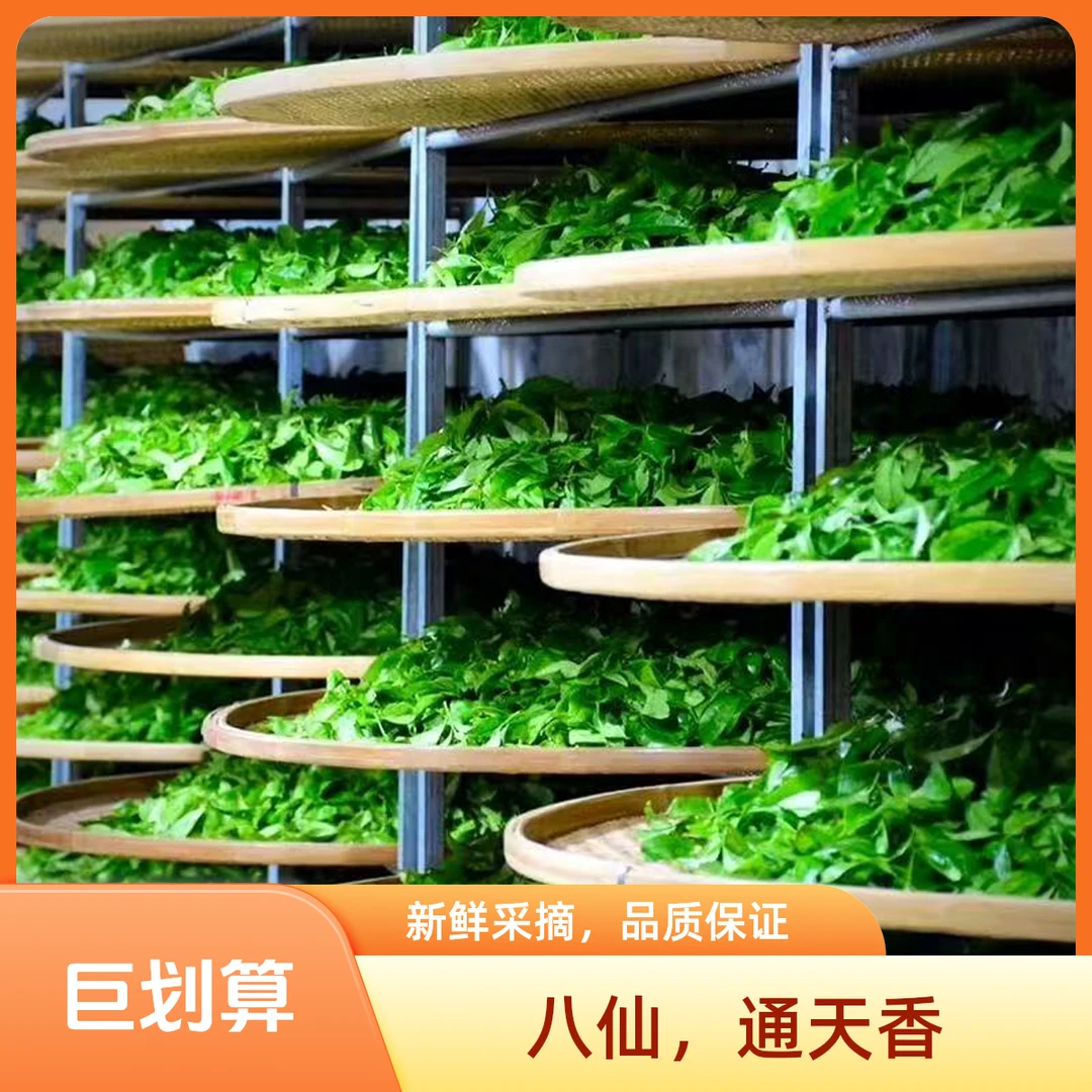 凤凰单枞【二合一组合】八仙-通天香中浓型单丛乌龙茶春茶当季采制