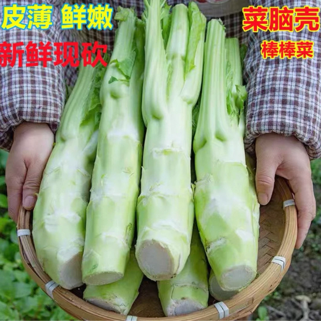 芥菜心 棒菜  盖菜心！清甜鲜嫩福建漳州特产
