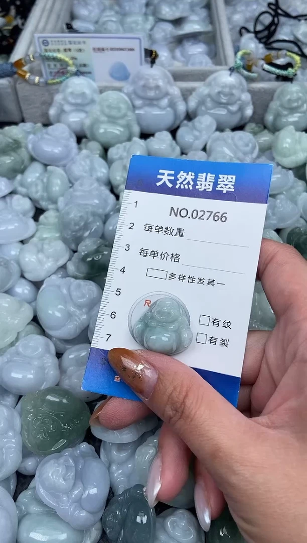 颈饰未镶嵌翡翠纯天然A货翡翠