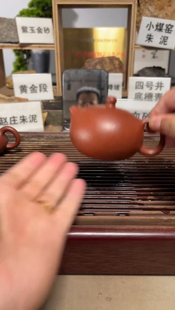 茶壶紫砂微瑕全手降坡西施