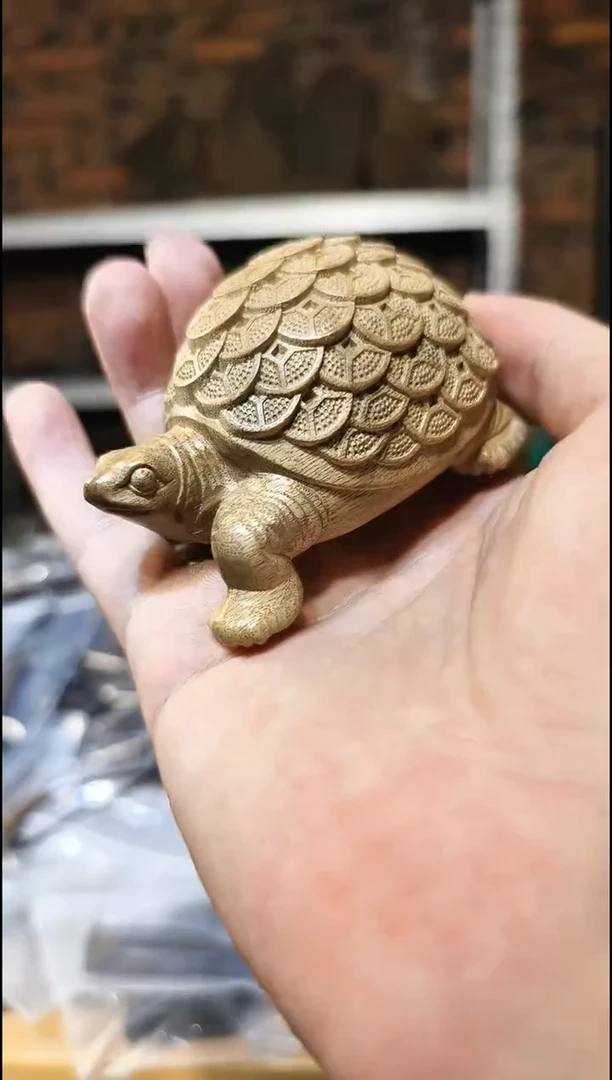 金丝楠 金钱龟