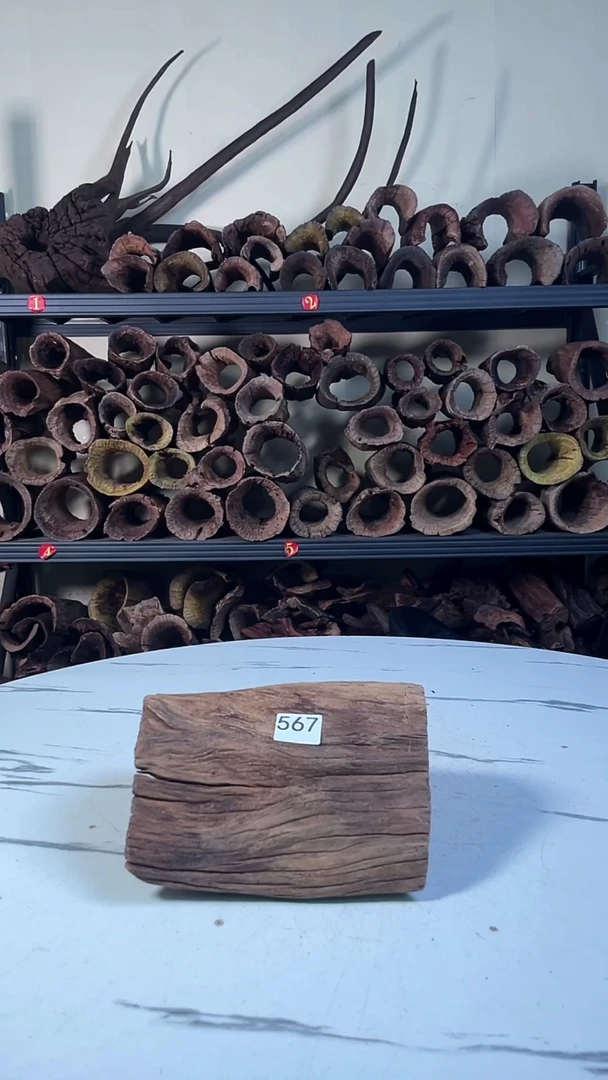 江*云南紫柚木造景沉木567