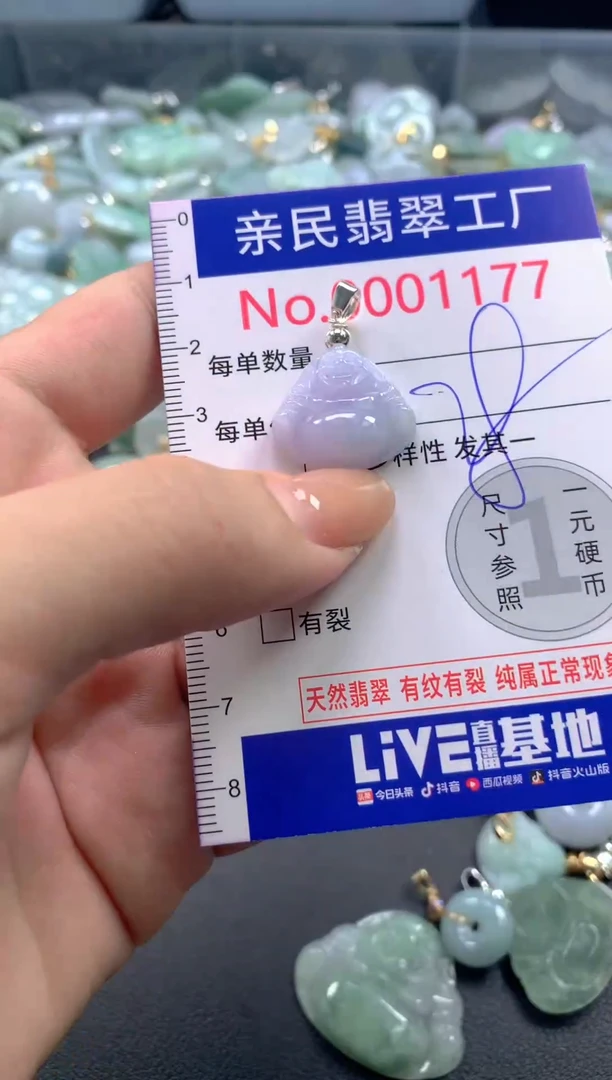 颈饰未镶嵌翡翠1177