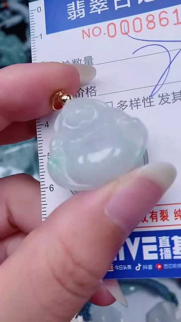 翡翠未镶嵌颈饰00008611