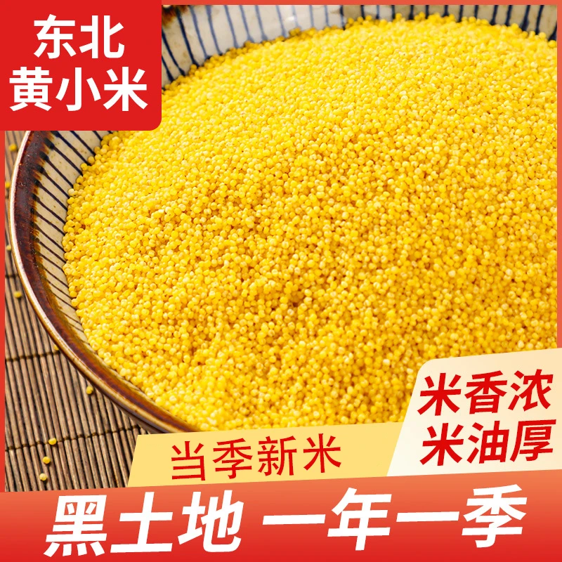【小明正能量助农】东北新黄小米黑土地农家自产小米粥小米饭