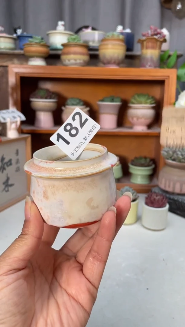 瓷片182知木小芳花盆编号