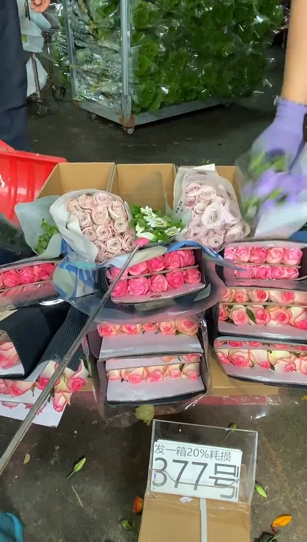 377号♥含20%耗损发一箱