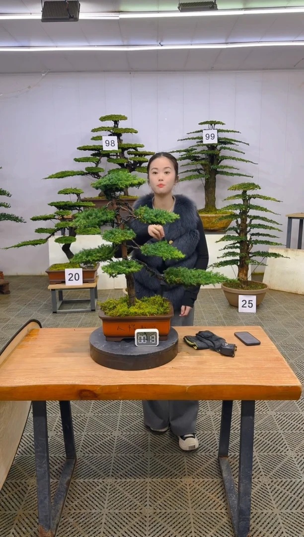 无花朵一物一拍一物一拍