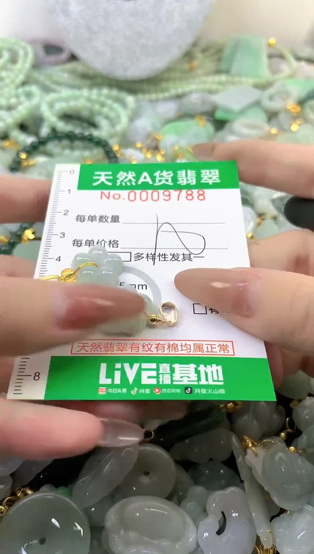 颈饰未镶嵌翡翠未镶嵌纯天然A货翡翠