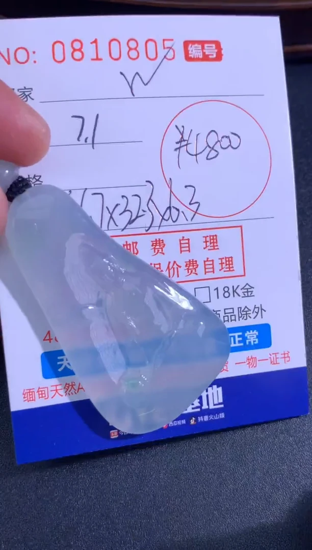 翡翠未镶嵌颈饰W*生生