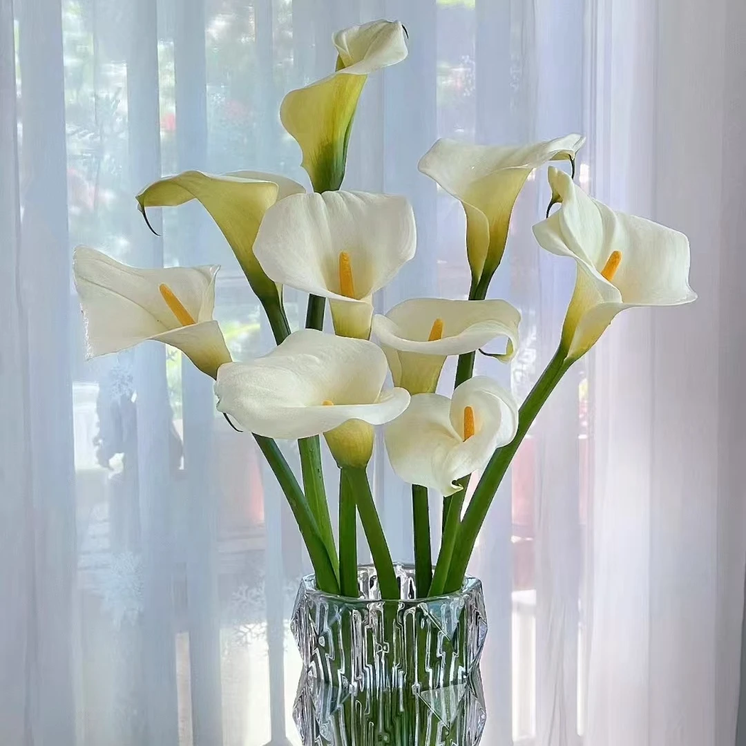 【花之物语】马蹄莲  包邮