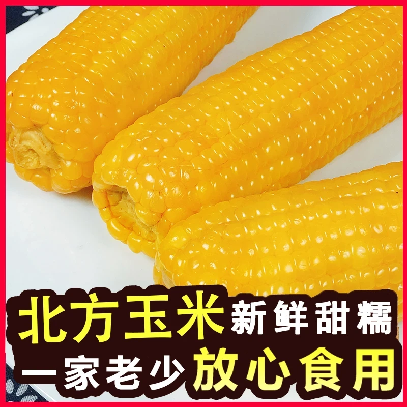 大个头 24年头茬香糯黄糯玉米10-11根香甜软糯真空包装整箱5斤