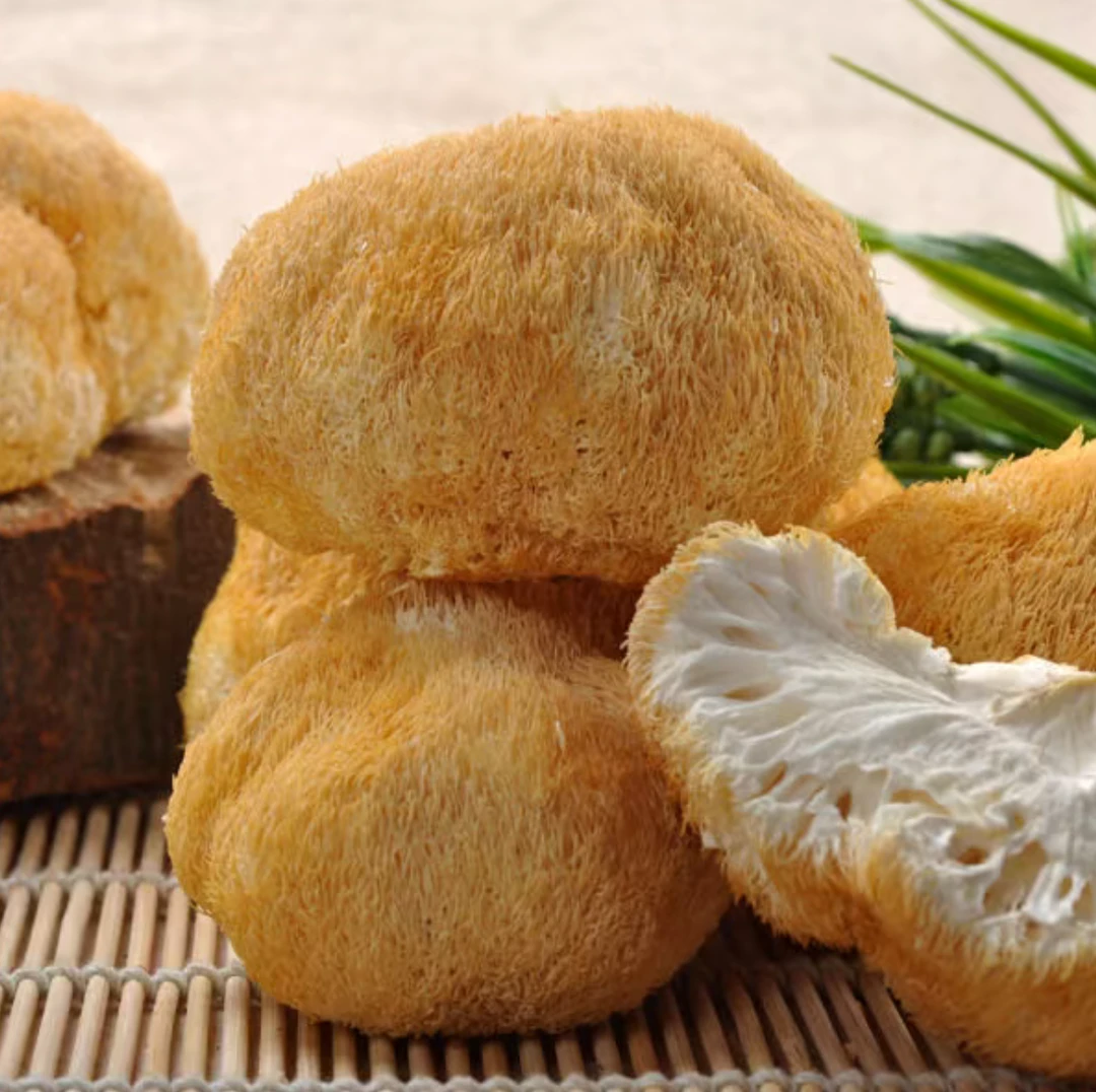 深山正宗猴头菇干货买（一斤送半斤）