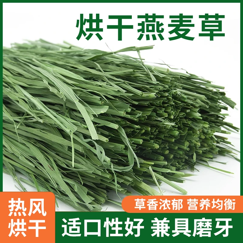 2024年了11月新草烘干燕麦草兔子龙猫净重500g