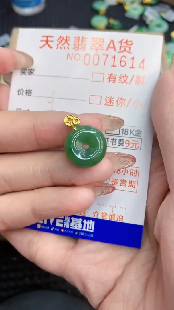 翡翠银S925镶嵌颈饰             8