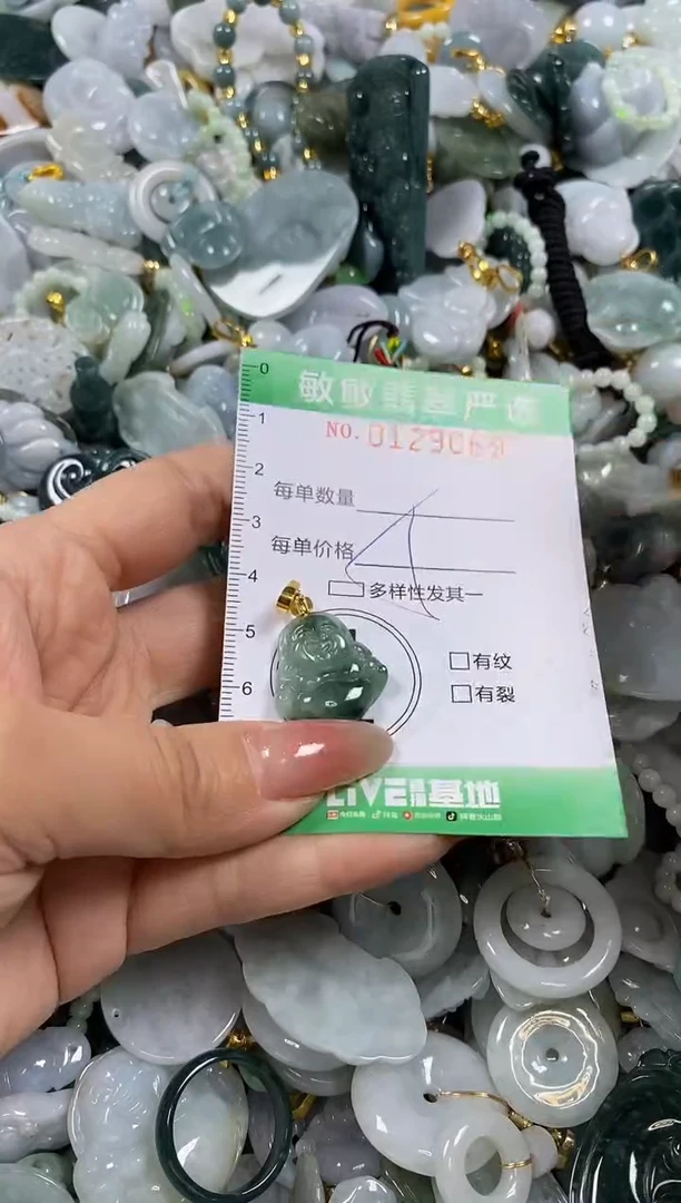 【闪购商品】翡翠颈饰未镶嵌闪购0129069