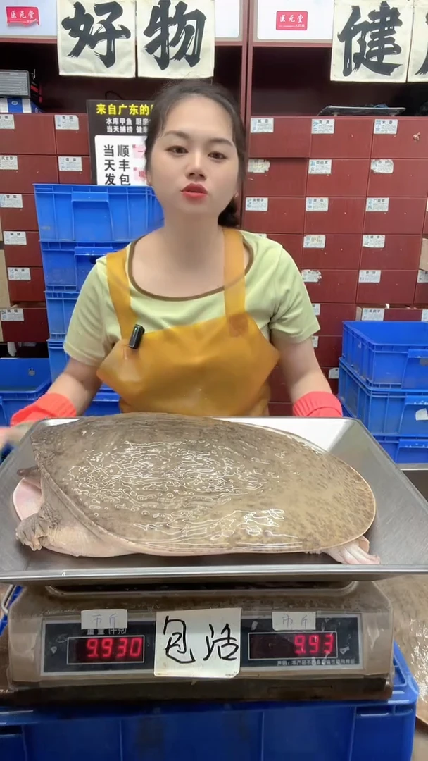 中国大陆冬*13.7斤一只