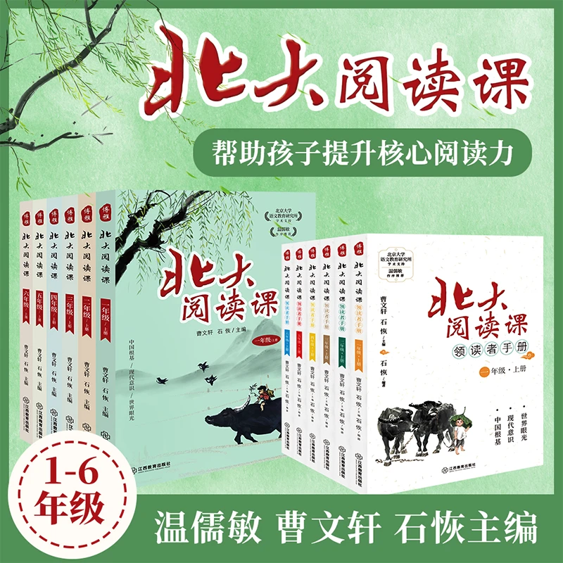 北大阅读课视频讲解版费曼学习法共情阅读
