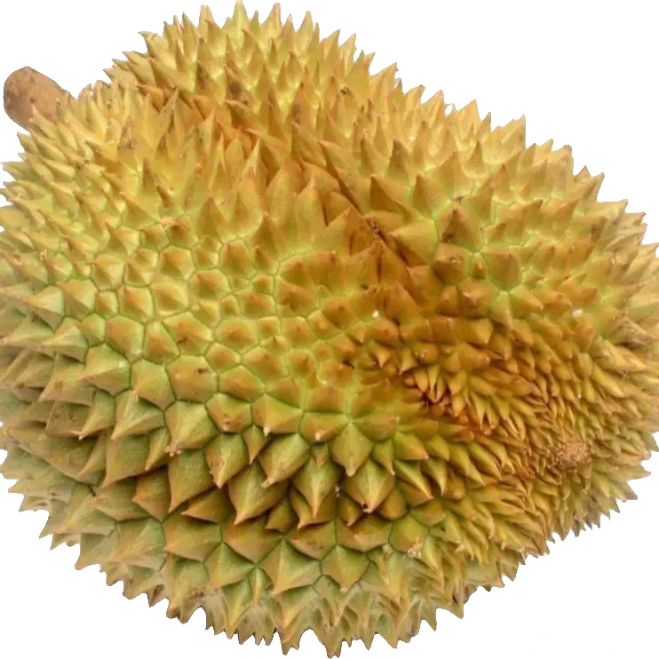 泰国金枕鲜榴莲现开2斤净肉 软糯香甜口感绵密  核小 哈尔滨同城（酸苦生包售后）金枕泰国