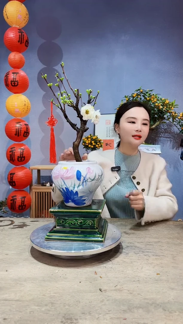 【闪购商品】盆景海棠 绿宝石