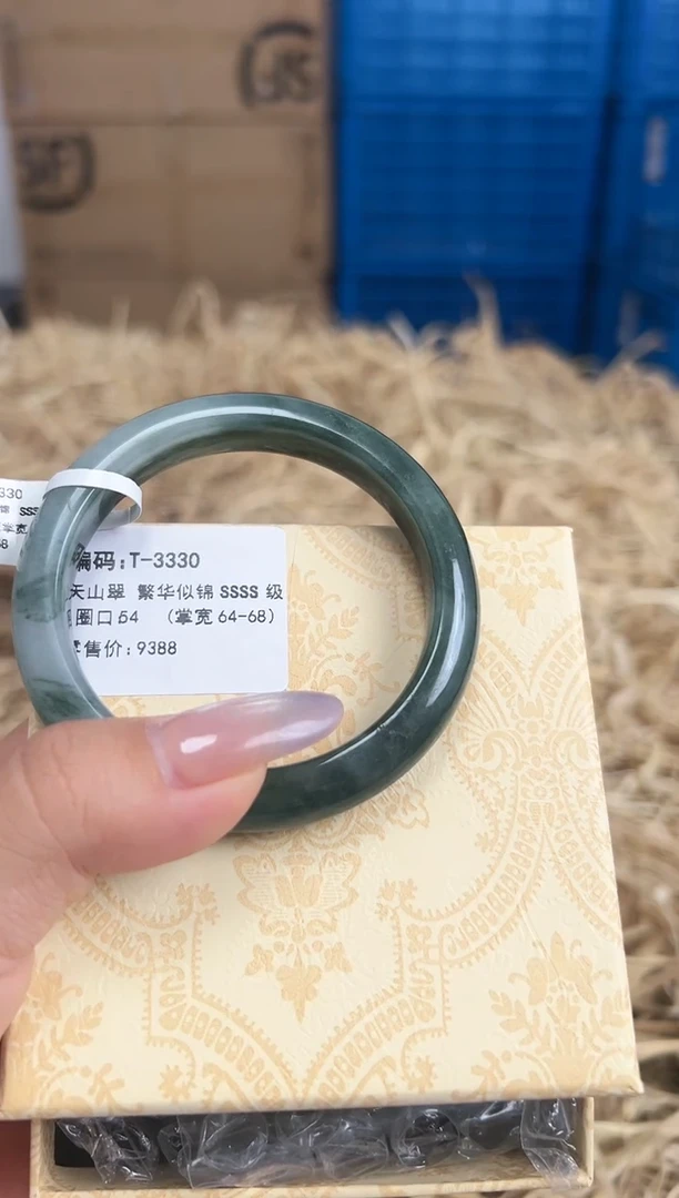 未镶嵌手镯石英质玉T-3330