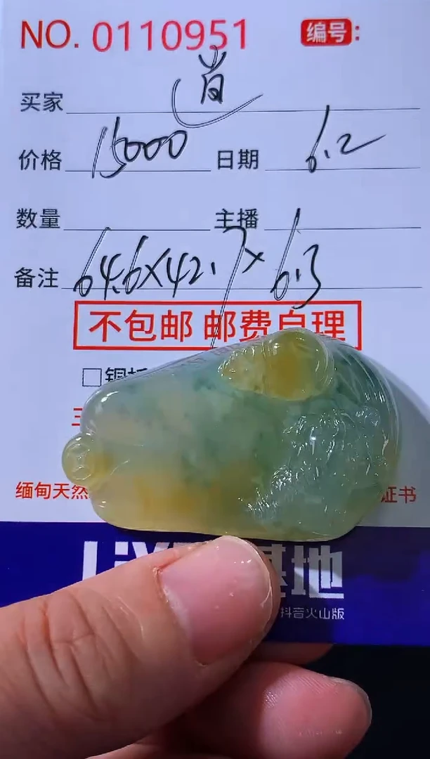 翡翠未镶嵌颈饰逍