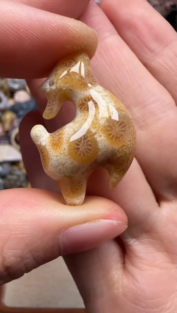 【闪购商品】硅化珊瑚（珊瑚玉）颈饰未镶嵌655