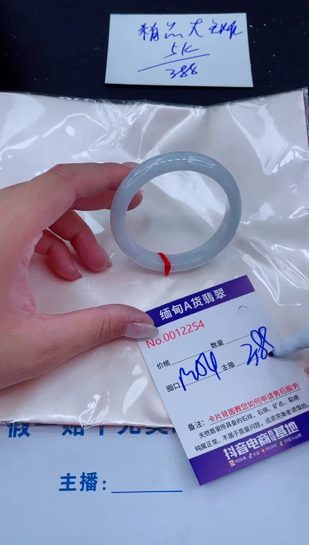 未镶嵌手镯翡翠388