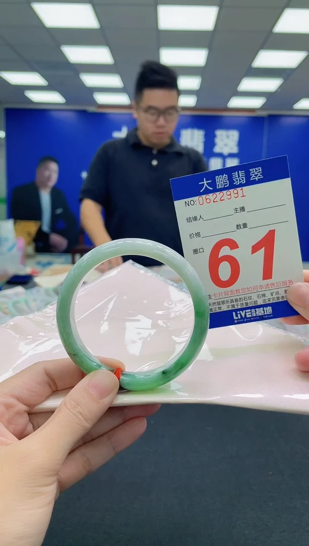 未镶嵌手镯翡翠AAAAAAAAA