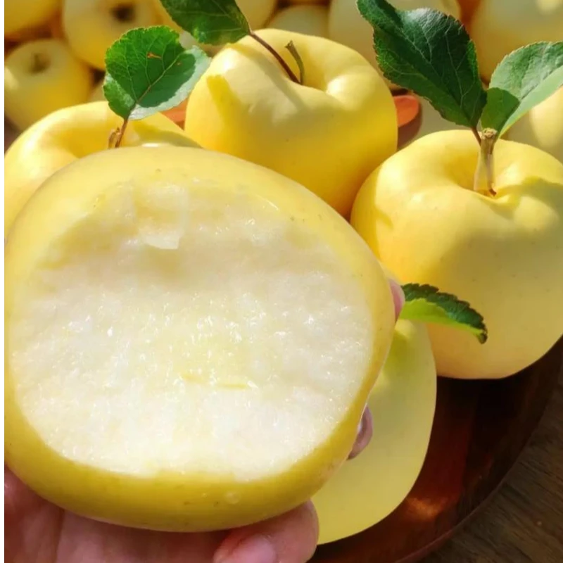 【散装】[Z]奶油富士苹果 份/净重5斤 仅限太原晋中吕梁忻州可拍