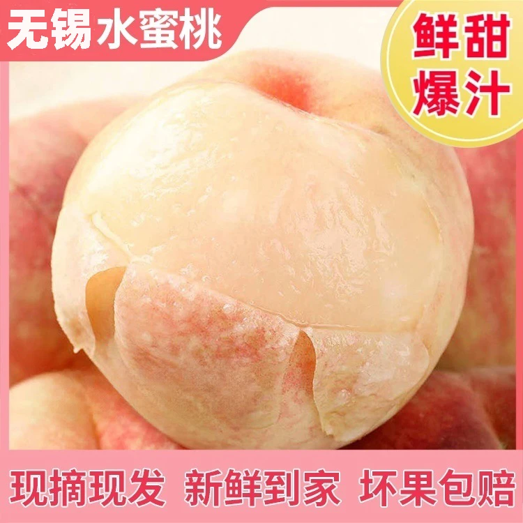 [7-6两无锡水蜜桃]应季新鲜爆汁正宗无锡水蜜桃礼盒包装顺风/京东