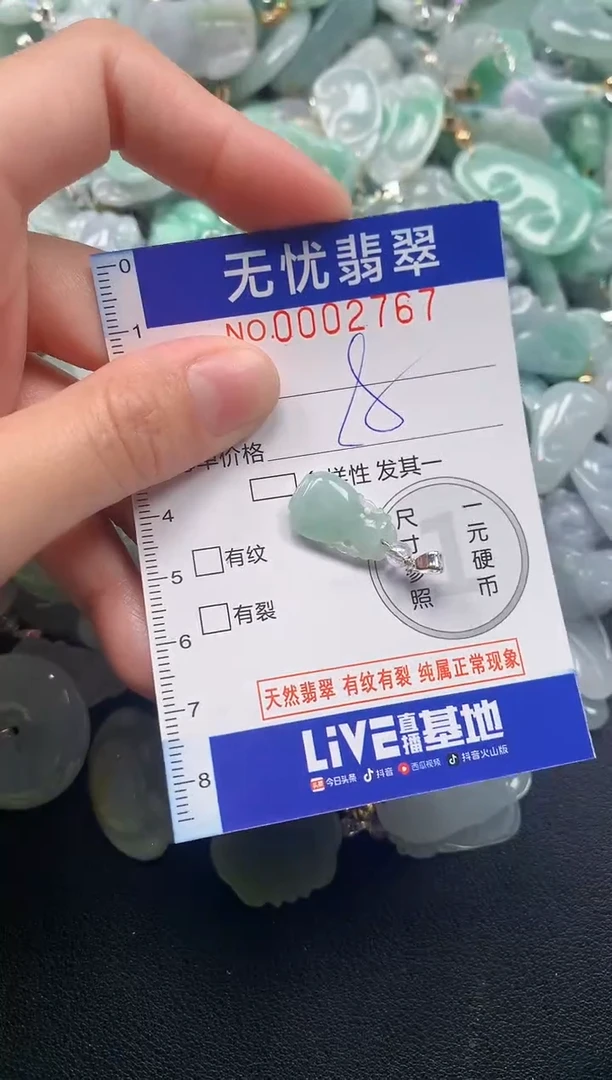 颈饰未镶嵌翡翠2767