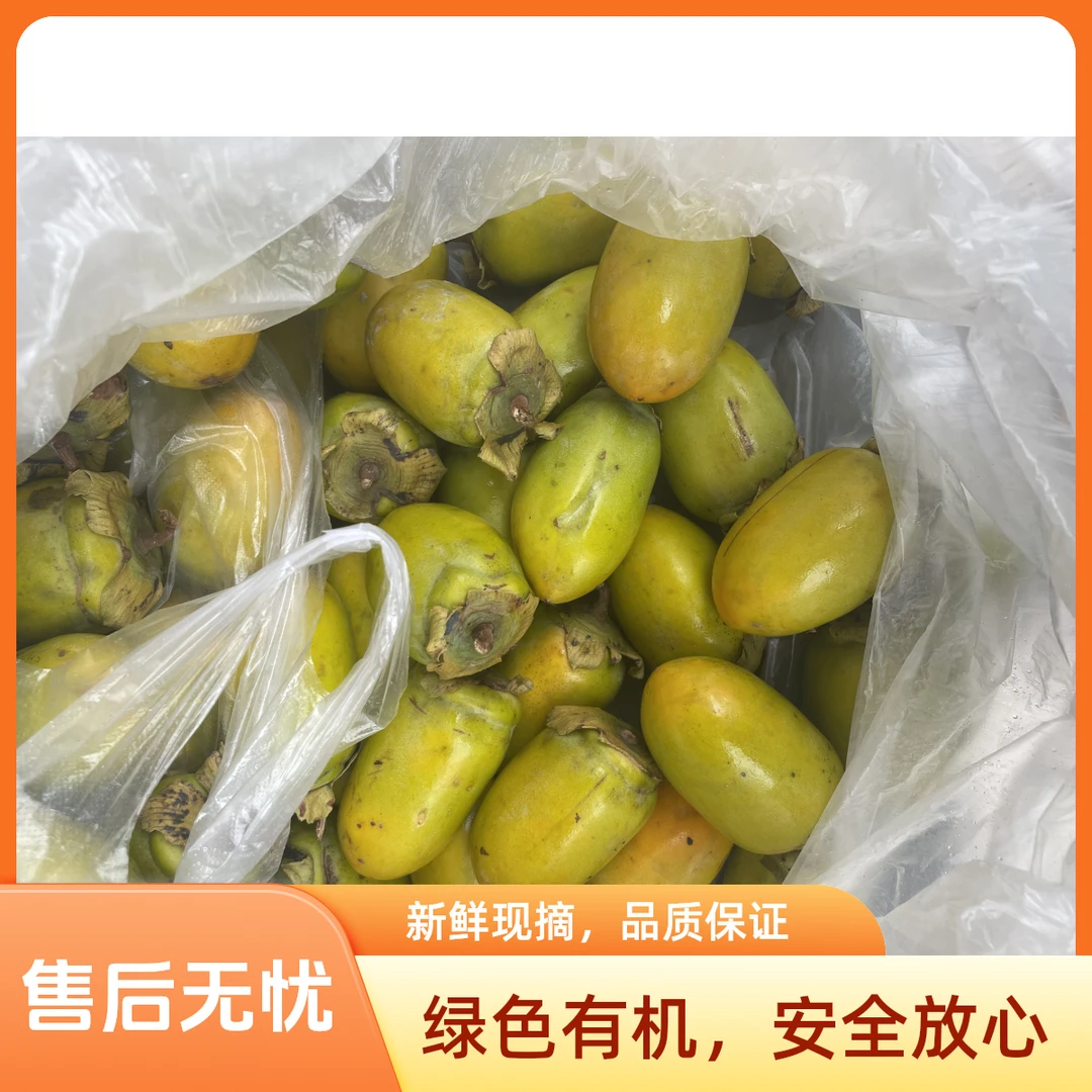 城口县新鲜现摘水果柿子