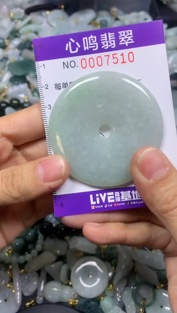 【闪购商品】翡翠颈饰未镶嵌闪购007510