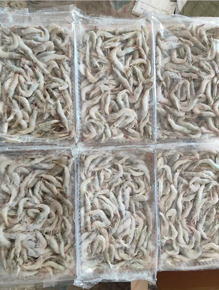 翩专属6斤小海虾小对虾海白虾红毛虾个头不大油炸虾小虾 闲小勿拍