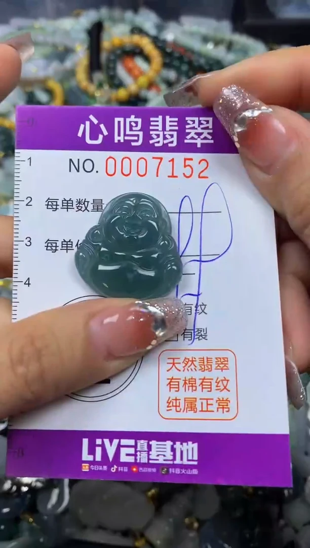 【闪购商品】翡翠颈饰未镶嵌闪购007152