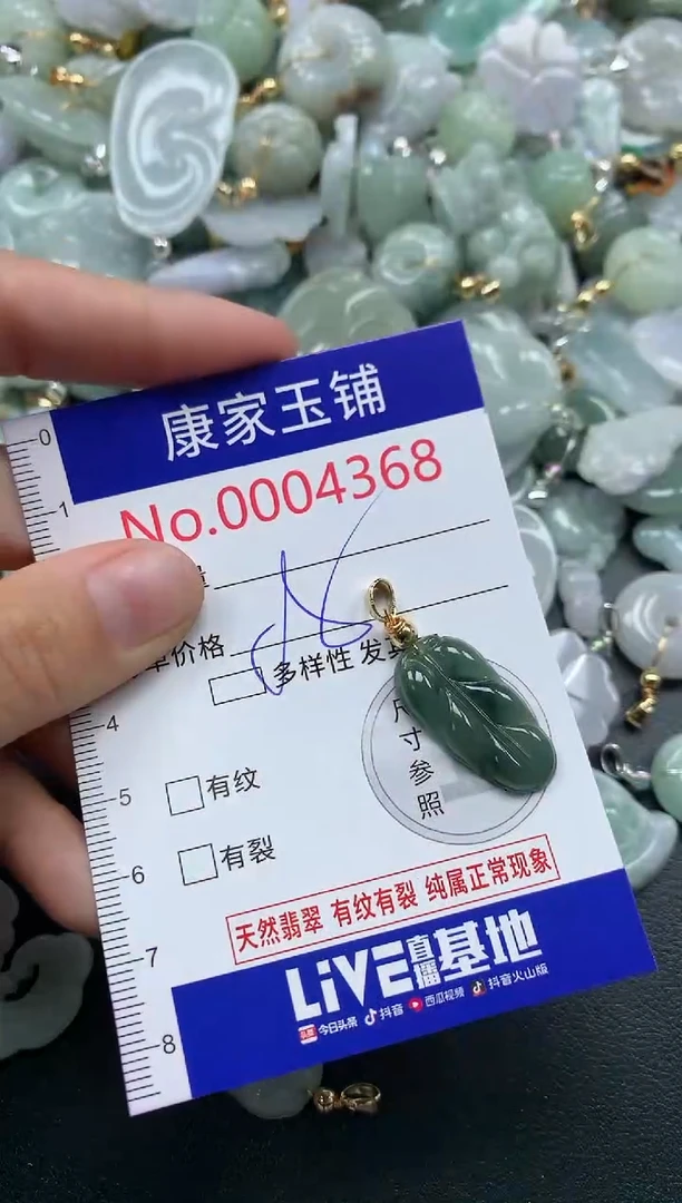 颈饰未镶嵌翡翠4368