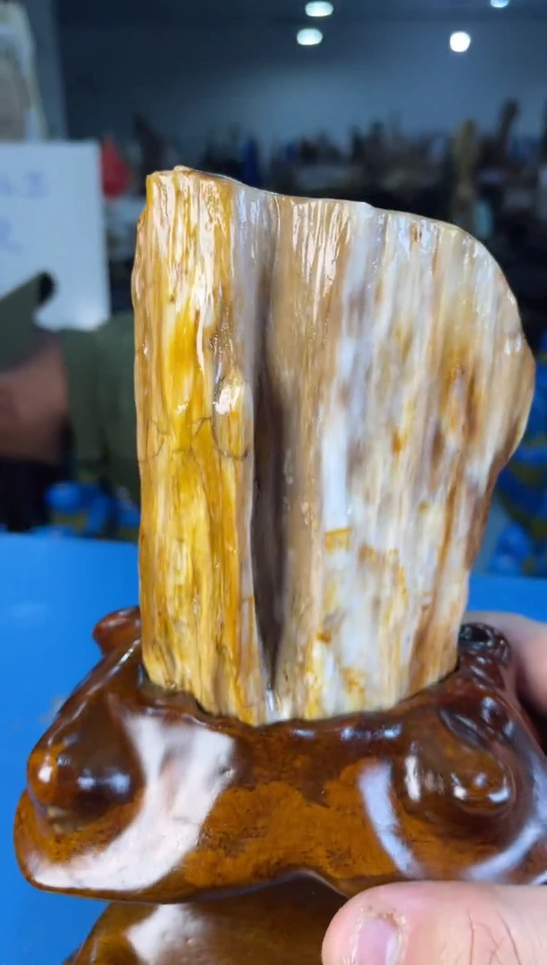 未镶嵌摆件硅化玉4