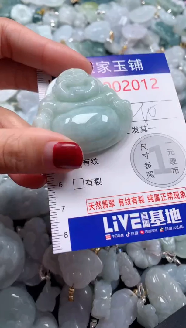 颈饰未镶嵌翡翠2012