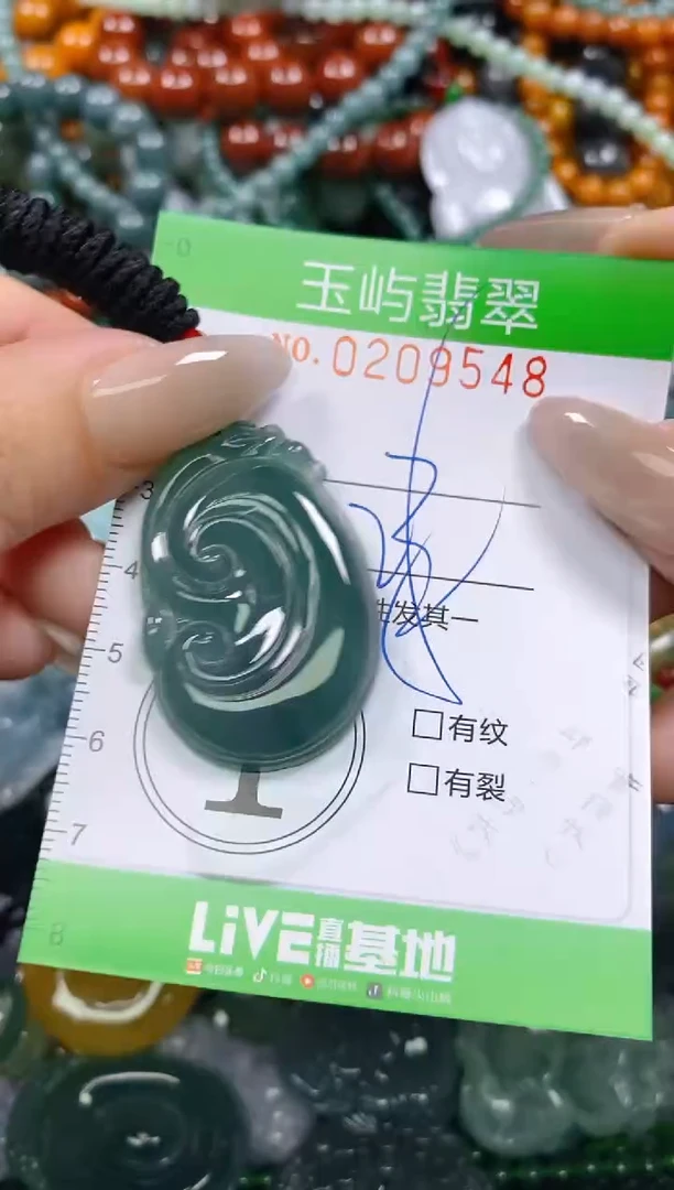 颈饰未镶嵌翡翠闪购0209548