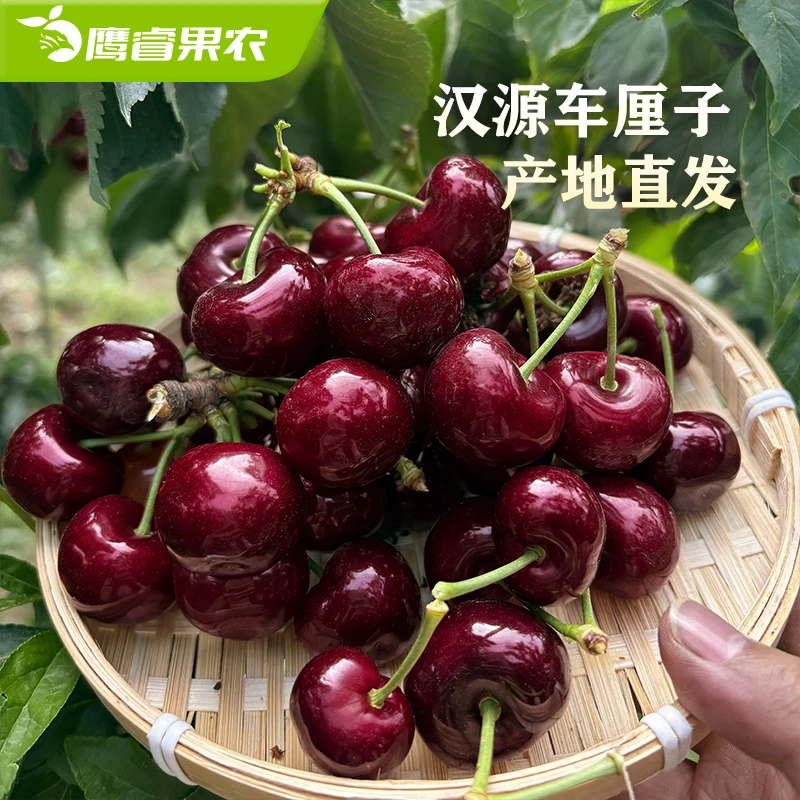 【鹰睿果农】不套袋京东发货四川汉源黑珍珠新鲜现采